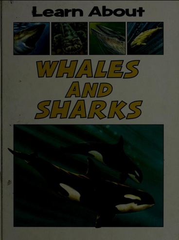 Learn about Whales and Sharks