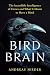 Bird Brain: The Incredible ...