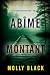 Abîme Montant (Une enquête ...