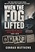 When the Fog Lifted: A Surv...