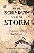 In de Schaduw van de Storm: Een duistere politieke fantasy over macht, controle en morele keuzes (Dutch Edition)