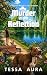 Murder in the Reflection: A Maggie Wright Cozy Mystery (A Maggie Wright Cozy Mystery Series Book 11)