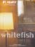 Whitefish