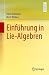 Einführung in Lie-Algebren