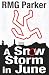 A Snow Storm in June
