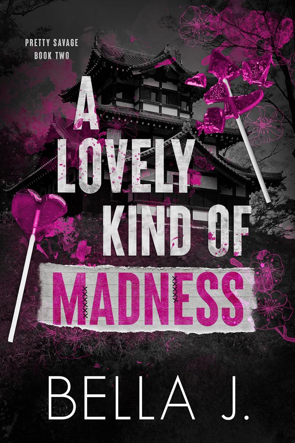 A Lovely Kind of Madness (Pretty Savage #2)