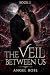 THE VEIL BETWEEN US: A Vamp...