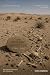 THE HERERO GENOCIDE: The Fi...