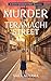 Murder on Teramachi Street by Sara Aoyama