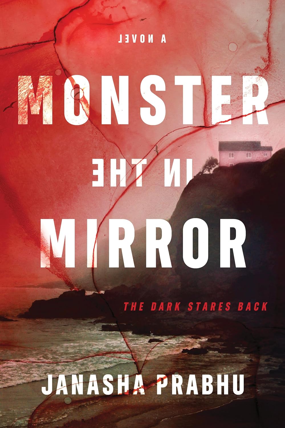 Monster in the Mirror