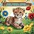 Baby Animals Friends : A Co...