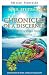 Les chroniques d'un discernant