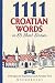 1111 Croatian Words in 85 S...