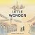 Little Wonder: A Novel (Thousand Voices)