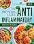 the definitive guide anti-i...