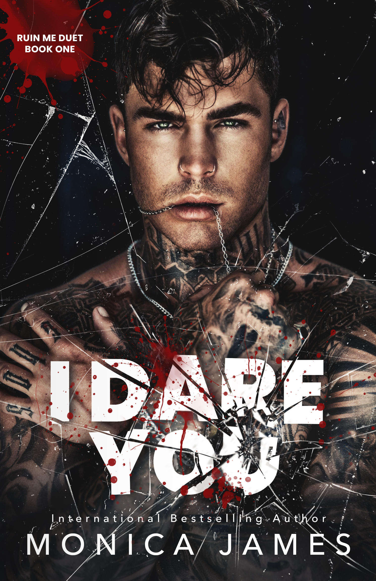 I Dare You (Ruin Me Duet Book 1)