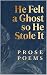 He Felt a Ghost, So He Stole It by Rhys Hughes