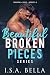 Beautiful Broken Pieces Ser...