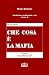 CHE COSA E' LA MAFIA: Intro...