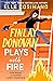 Finlay Donovan Plays with Fire