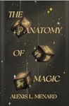 The Anatomy of Magic