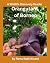 Orangutans of Borneo: A Wil...