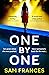 One by One (DS Alice Washin...