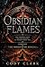 Obsidian Flames (The Forgot...