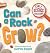 Can a Rock Grow?