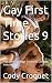 Gay First Time Stories: Fun...