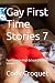 Gay First Time Stories: Fun...
