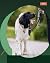 ''CALM ON THE LEASH'': This...