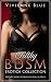 Filthy BDSM Erotica Collect...