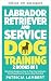 Treinamento de labrador ret...