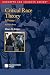 Critical Race Theory: A Primer (Concepts and Insights)