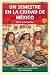 Un semestre en la Ciudad de México: A Spanish Graded Reader for Intermediate Learners — B1 — Parte 6: La cocina (Spanish Edition)