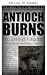 Antioquía arde