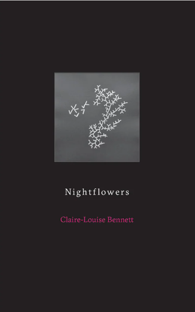 Nightflowers