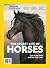 National Geographic The Secret Life of Horses