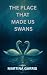 The Place That Made Us Swans: A heartbreaking novel that will stay with you long after the final page.