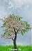 Blossom by Treasure Obi Blossom by Treasure Obi