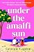 Under the Amalfi Sun: A beautiful escapist romance set in sun-drenched Italy