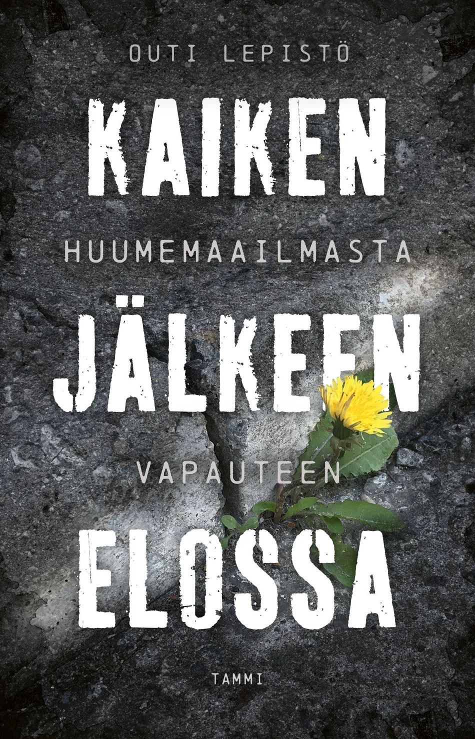 Kaiken jälkeen elossa - Huumemaailmasta vapauteen (Paperback)