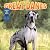 Great Danes