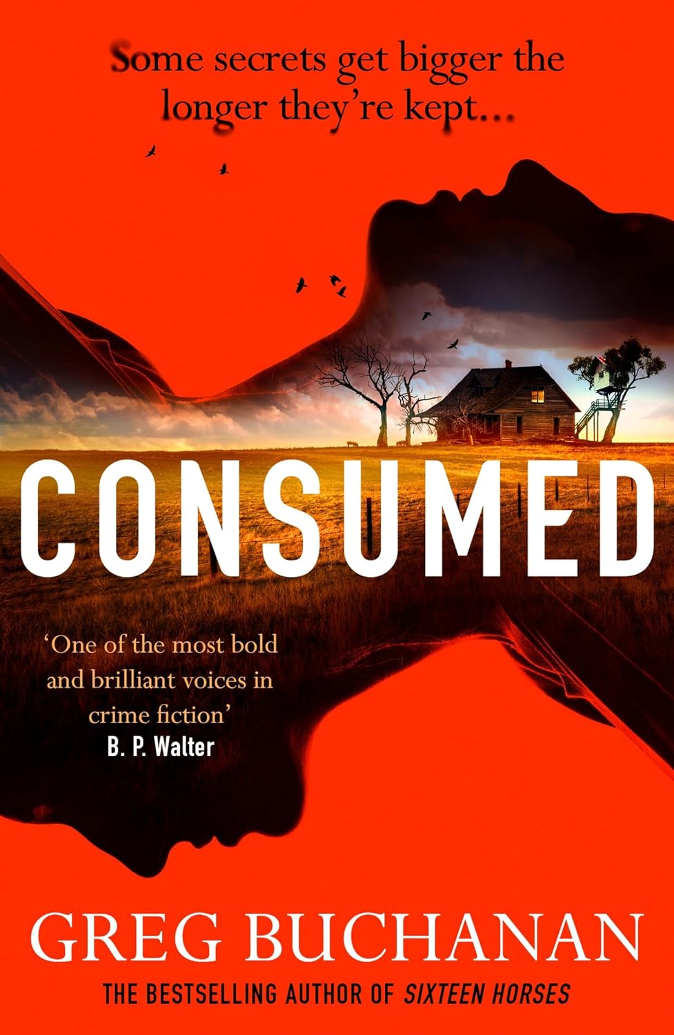 Consumed (Dr. Cooper Allen, #2)