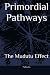 Primordial Pathways