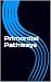 Primordial Pathways by Matthew Lay