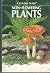 Non-Flowering Plants