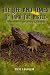 THE LIFE And TIMES Of TANK The TURTLE : The Moment Everything Changed