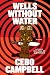 Wells Without Water: A Novel